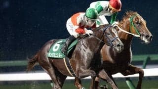 【盛岡・ジュニアグランプリ】キングミニスターが人気に応える…山本「最後は頑張ってくれた」