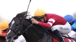 【WASJ・第4戦】大混戦のゴール前！モレイラがゴール寸前で差し切る