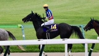 【新潟記念登録馬】牝馬ライトバックなど13頭
