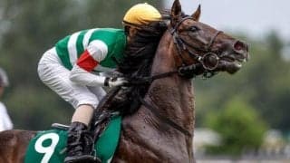 【新潟2歳S】売上は43億8581万6300円で昨年より約3.3億円増加