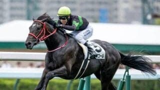 【札幌2歳S見どころ】初戦が圧巻だったキングスコールに注目