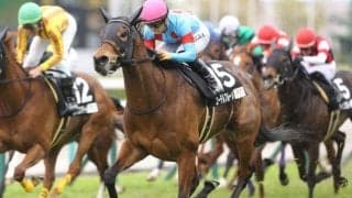 【新潟記念見どころ】安定感魅力のエーデルブルーメが初重賞制覇だ