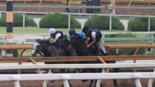 併せ馬を重ねて念入りに調整 ダノンフィーゴの走りに期待/関西馬メイクデビュー情報