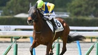 【AI予想・新潟記念】前走2000m組の取捨が的中の鍵を握る それぞれに違う魅力を持つ本命候補とは