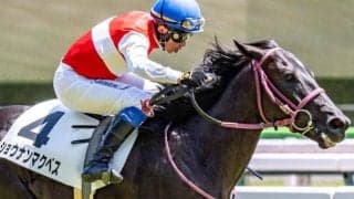 歴史的名馬イクイノックスのいとこが無敗戴冠へ 札幌2歳Sでポテンシャル発揮なるか