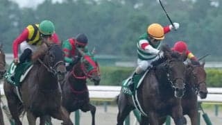 【新潟2歳S】トータルクラリティがゴール前差し返す！デビュー2連勝