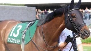 名牝エアグルーヴ以来27年ぶりの“珍偉業”なるか マーメイドS覇者が新潟記念で重賞連勝狙う