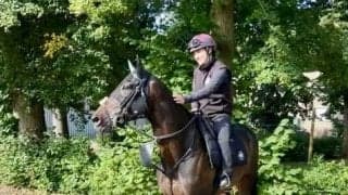 【凱旋門賞】武豊とコンビを組むアルリファーは凱旋門賞直行の予定