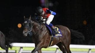 【船橋・フリオーソLC枠順】重賞連勝狙うデュードヴァンは1枠1番