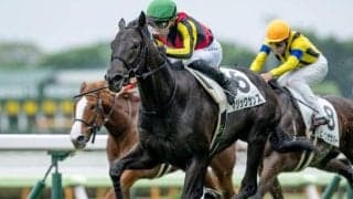 【札幌2歳S展望】クラシック活躍馬を輩出する出世レース、前走人気がカギ