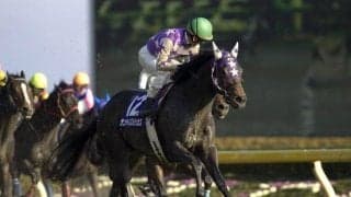 ストームキャット系の土台作った名種牡馬「ヘネシー」を紹介 近年はダートのみならず芝でも活躍