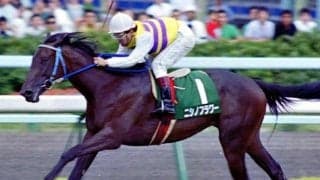 GI馬2頭に超大物2頭の母も 札幌2歳Sの1200m時代の勝ち馬に名牝ズラリ