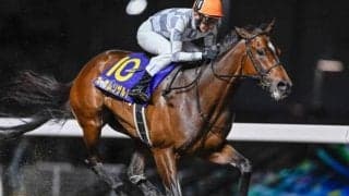 【門別・ブリーダーズGC注目馬】無傷6連勝中のオーサムリザルトが主役か