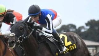 【新潟記念予想オッズ】ライトバックが予想1番人気