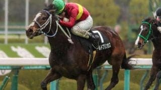 15年有馬記念覇者の産駒が新潟記念でJRA重賞初Vへ 秋の大目標に向け弾みをつけるか