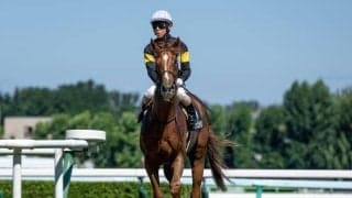 【札幌2歳S予想オッズ】アスクシュタインなど上位人気