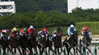 【小倉2歳S予想オッズ】エコロジークが予想1番人気