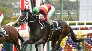 【新潟記念展望】夏競馬を締めくくるサマー2000最終戦、前走GI組に注目