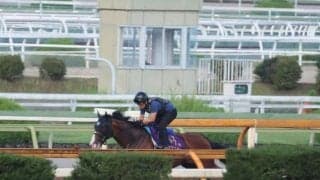 ママコチャ、セントウルS1週前追い切り速報/栗東トレセンニュース