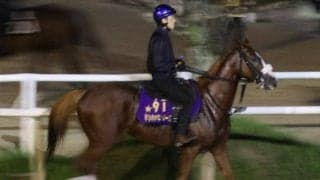 テンハッピーローズ、セントウルS1週前追い切り速報/栗東トレセンニュース