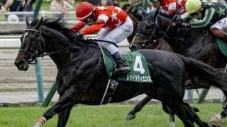 26年ぶりの連勝なるか “サマー王者”の称号狙う七夕賞覇者が新潟記念に挑む