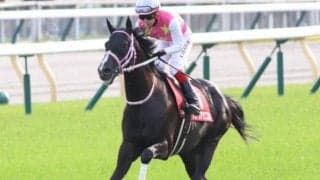 四半世紀ぶりの勝利“ヲ”飾れるか ジューンアヲニヨシが新潟記念に挑む