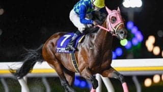 【船橋・フリオーソレジェンドC結果】ナニハサテオキが一気に差し切り重賞初制覇