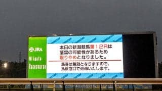 悪天候や災害時に競馬開催の可否は誰が決める？ ルールについてJRAに尋ねてみると