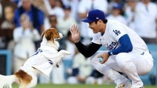 「今まで見たことないほど、キュートな始球式！」大谷翔平の愛犬デコピンが始球式に登場→直後に本人は先頭打者アーチで42号をマーク