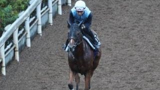 ピューロマジック、セントウルS1週前追い切り速報/栗東トレセンニュース