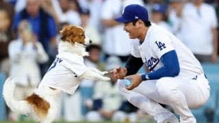 愛犬デコピンが初の大役　大谷翔平がSNS更新で“お宝写真”公開…「デコイの始球式」