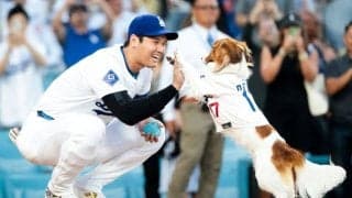 大谷翔平＆デコピンの「最も可愛い始球式」　米メディアも称賛「人生最高の日」