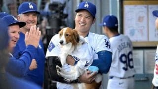 デコピンは「よく訓練されている」　大谷翔平と見事な“演出”…専門家が見た共同作業