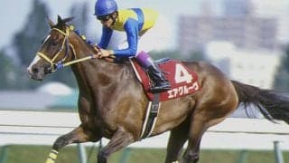 エアグルーヴ牝系×田中博康厩舎の“黄金タッグ” 期待馬がC.ルメール騎手の手綱で初陣Vへ