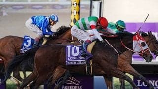 米G1・BCディスタフ覇者マルシュロレーヌの半妹 姉と同じく芝で初陣