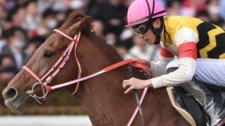 ダートグレード競走でも善戦の3億円良血馬 約2年ぶりに芝レース参戦