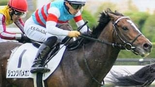 半兄は豪G1馬のアドマイヤラクティ ジュンツバメガエシが赤倉特別で連勝なるか