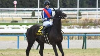 【新潟記念枠順確定】ライトバックは2枠2番、レッドラディエンスは8枠12番