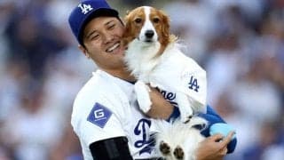 空前絶後の人気を示す「7450万」 大谷翔平とデコピンがド軍SNSを“独占”した仰天数値を米会社が公表「主役はデコピンでした」