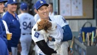 デコピンがド軍にもたらした新記録　“影響力”にX仰天…大谷と「別の契約結ぶべき」