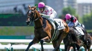 【札幌2歳S枠順確定】マテンロウサンは3枠3番、アスクシュタインは8枠11番