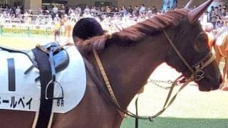 小倉2歳Sは道悪濃厚 単勝回収率136％ファインニードル産駒が狙い目