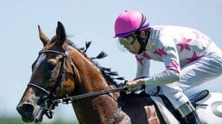 【札幌2歳S予想】キャリアの浅い2歳戦ならではの傾向あり！ 前走からの間隔が詰まると不利になる要因とは