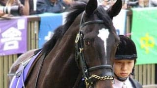 22年セレクトセールの超高額落札馬 “黄金タッグ” でデビュー戦Vなるか