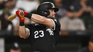 メジャーとは思えない…ガラガラの客席が「酷い」　弱小球団の悲しき現実「選手の方が多い」