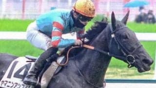 中京芝は超道悪かも 条件絶好のヤマニンアンフィルを狙い撃ち