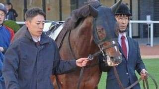 【アジア競馬連盟T】母は「幻のダービー馬」に唯一勝利のGI覇者 良血馬がGI敗戦から巻き返しへ