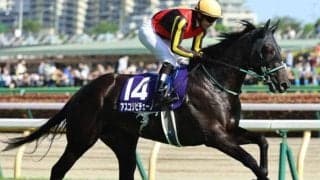 【京成杯AH想定馬・騎手】アスコリピチェーノ、ディオなど16頭