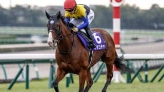 【セントウルS想定馬・騎手】ママコチャ、テンハッピーローズなど18頭