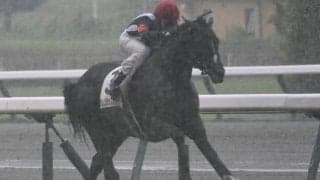 【中京5R新馬戦結果】ルーラーシップ産駒カレンラップスターが最内を突いて快勝